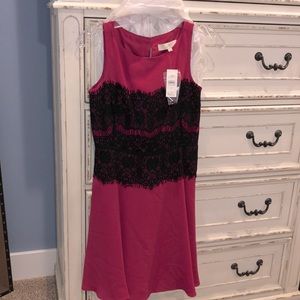 Loft magenta with lace detail dress. Brand new with tags